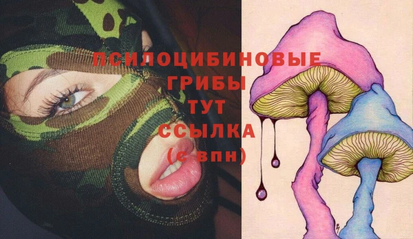 спайс Бородино
