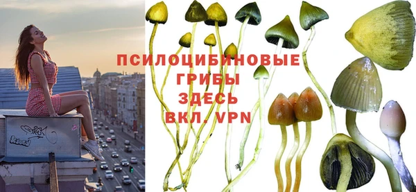 apvp Володарск