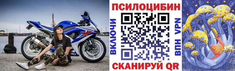 Галлюциногенные грибы Cubensis  Знаменск 